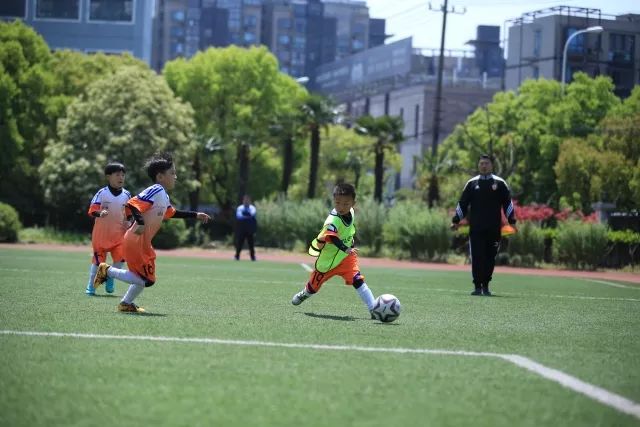 鄢手骐16+8+6辽宁不敌青岛 张陈治锋15+10